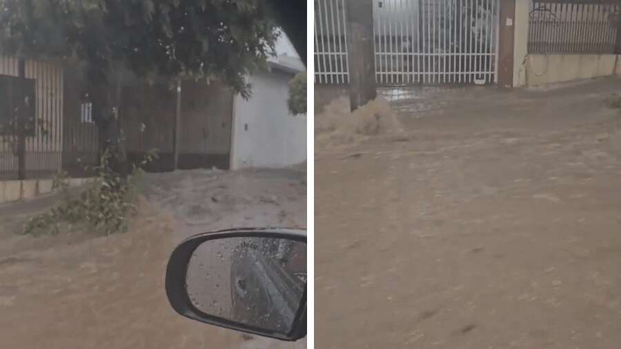 Três pessoas e um cachorro morrem em Bauru após forte chuva e ventania