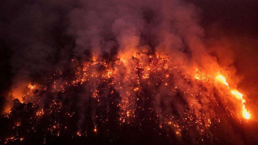 Fogo destruiu área igual a Roraima até setembro, 150% a mais que em 2023 Carlos Madeiro