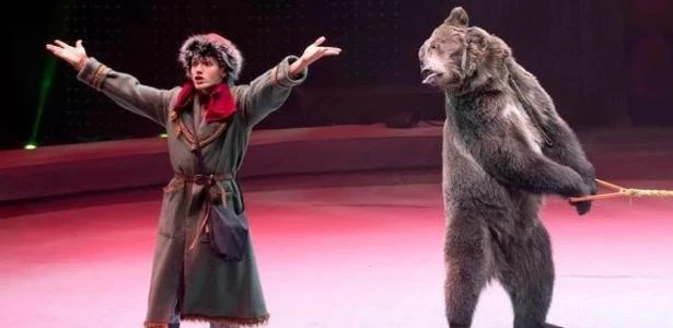 Tratador morre após se trancar em jaula com urso de circo na Rússia