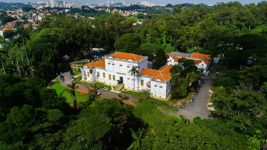 Butantan muda projeto de expansão, mas ainda prevê derrubar 1.700 árvores