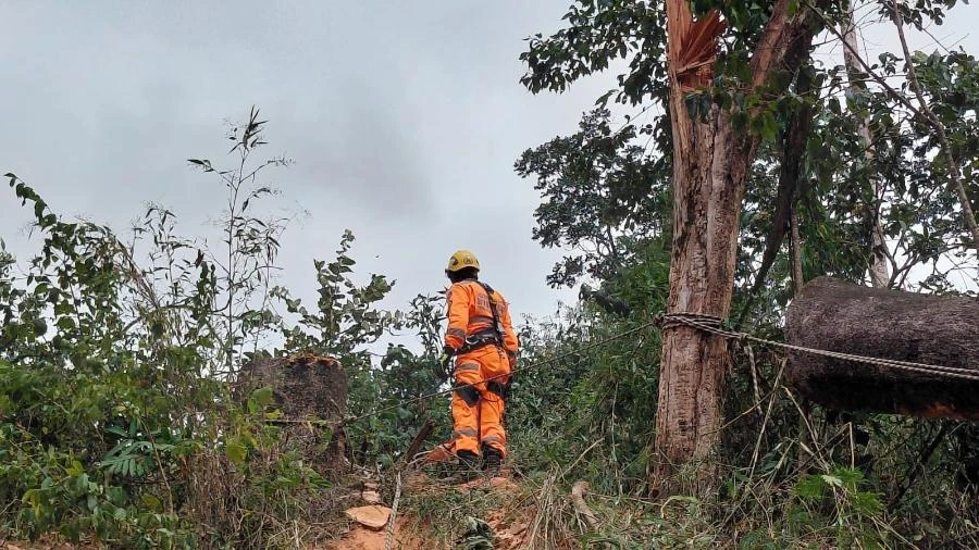 Homem morre atingido por árvore que estava cortando em MG
