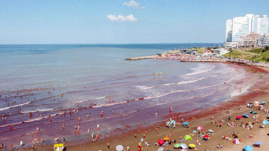 Mar cor de sangue e fedido chama atenção na Argentina; entenda a arribazón