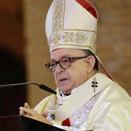 Só um cardeal brasileiro não pode votar no conclave - mas é elegível a papa