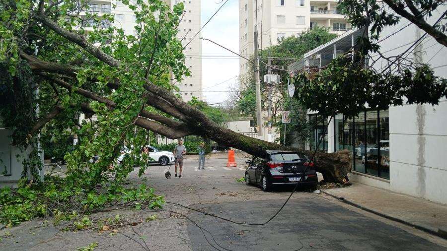 Risco de temporal com novo apagão na sexta em SP preocupa Nunes e Tarcísio Kennedy Alencar