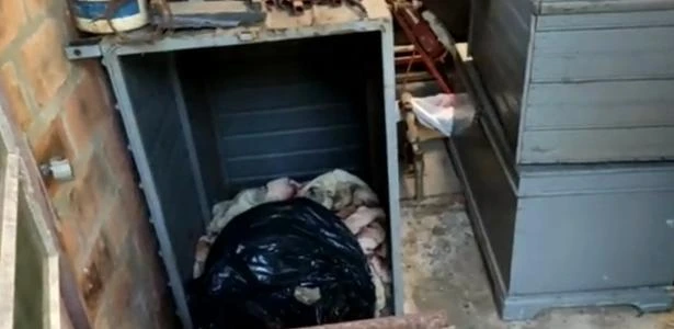 RS: Sobrinha é presa por ocultar corpo e receber aposentadoria de tio