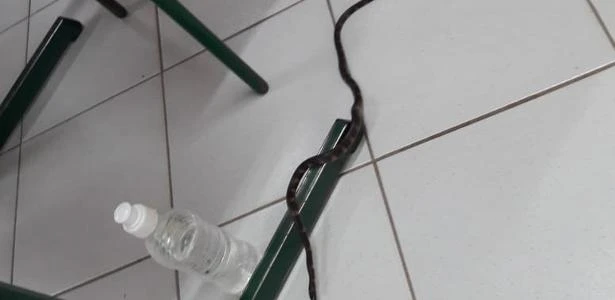 Cobra invade seção eleitoral e interrompe votação em escola de Xanxerê (SC)
