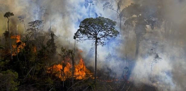 Governo ignora metas de combate ao desmatamento em plano até 2031