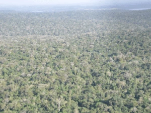 Deputados pedem ação urgente da Unesco para proteger Iguaçu