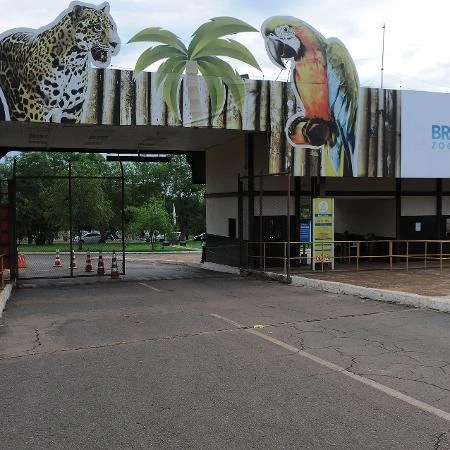Com zoo de Brasília, país já tem 3 focos ativos para gripe aviária