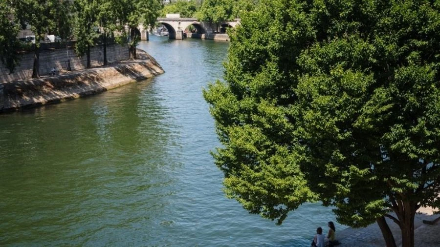 Paris volta a permitir nado no rio Sena 100 anos após proibição
