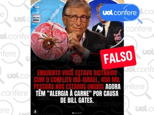 Bill Gates não financiou projeto de carrapato que causa alergia a carne