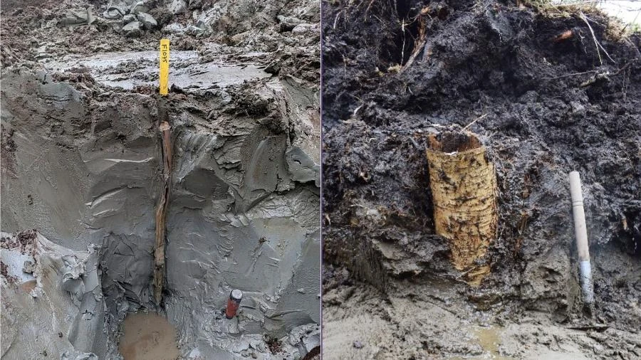 'Cápsula do tempo pré-histórica': tesouro de 5 mil anos é achado em pântano