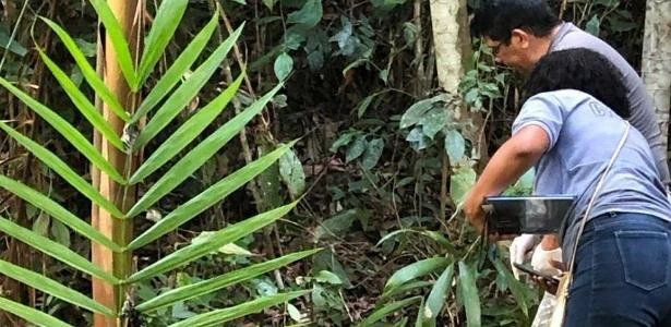 AP: Irmãos de 2 e 5 anos são encontrados abraçados ao corpo da mãe morta