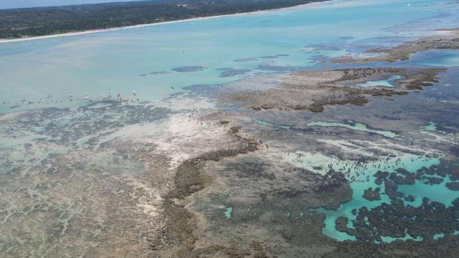 'Caribe brasileiro': Justiça proíbe passeios à Lagoa Azul de Maragogi (AL) Carlos Madeiro