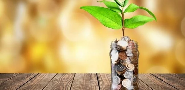 Saiba como investir só R$ 100 no Tesouro Selic para a reserva de emergência