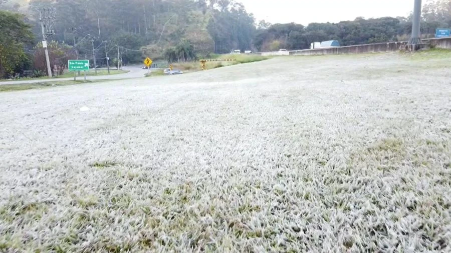 Onda de frio: SP amanhece com 34 cidades mais geladas do que a Sibéria