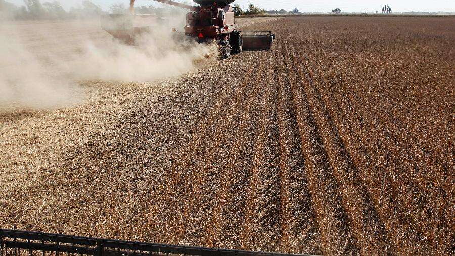 Seca prolongada castiga grandes zonas produtoras de soja na Argentina Graciliano Rocha