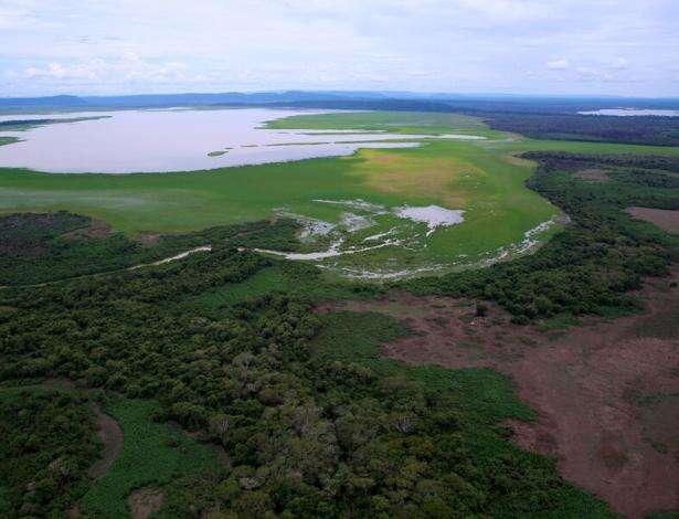 PV vai ao STF contra lei que autoriza pecuária em área de preservação