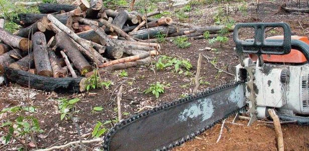 Ministério amplia prazo para ações da Força Nacional na Amazônia Legal