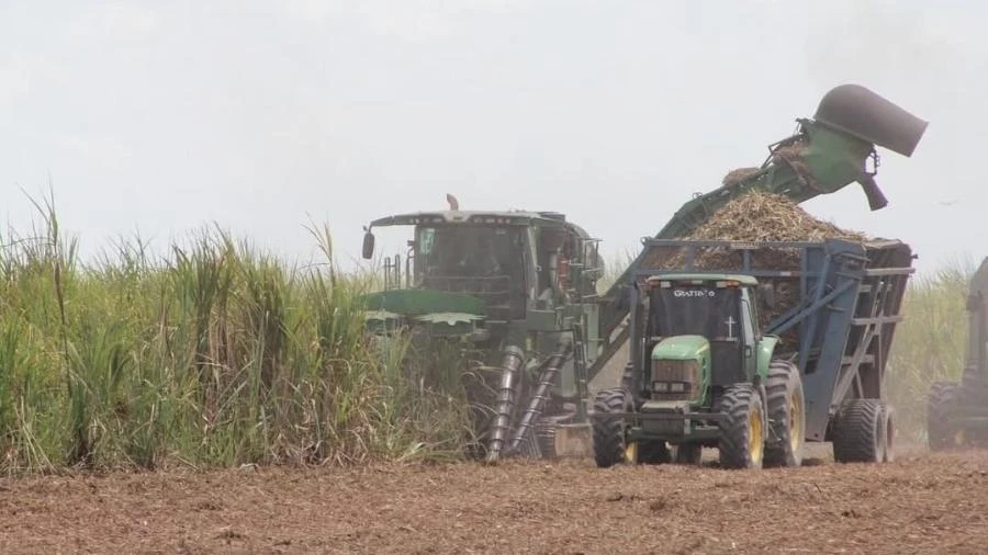 Usineiros do NE temem abertura do mercado de etanol em negociação com Trump Jamil Chade