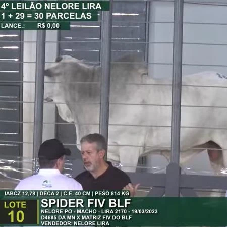 Lira junta elite da pecuária do Nordeste em leilão de gado e fatura R$ 4 mi