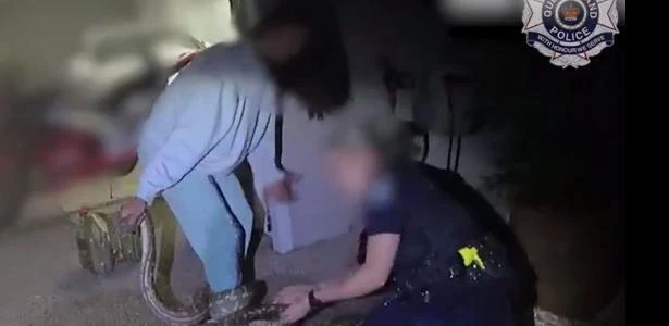 Mulher com cobra presa na perna acaricia bicho enquanto policial a socorre