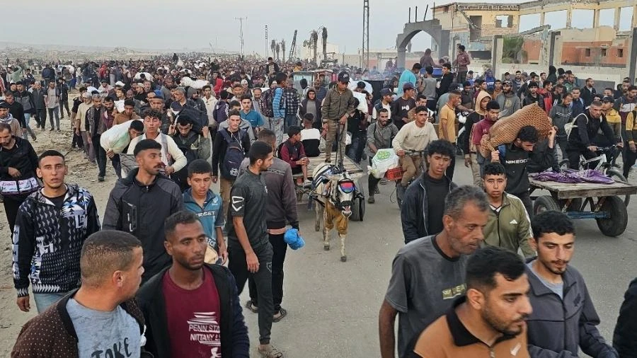 Curadora brasileira é demitida e escoltada em NY ao citar genocídio em Gaza Jamil Chade