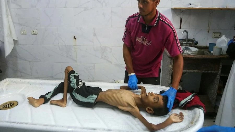 Brasil acusa Israel na Corte de Haia de cometer genocídio em Gaza Jamil Chade