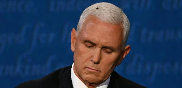 Mosca que pousou em Mike Pence vira meme e ganha até conta no Twitter