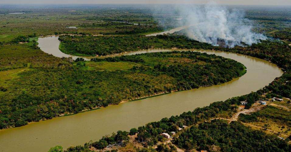 Governador de MT autoriza pecuária em área protegida do pantanal