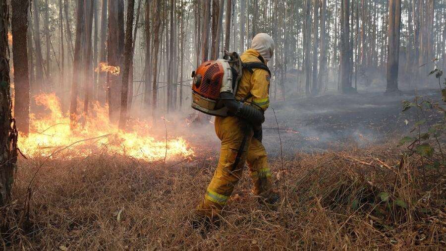 Com temperaturas altas e baixa umidade, SP tem mais de 10 focos de incêndio