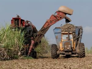 Como novos investimentos chineses moldam o futuro do agro brasileiro