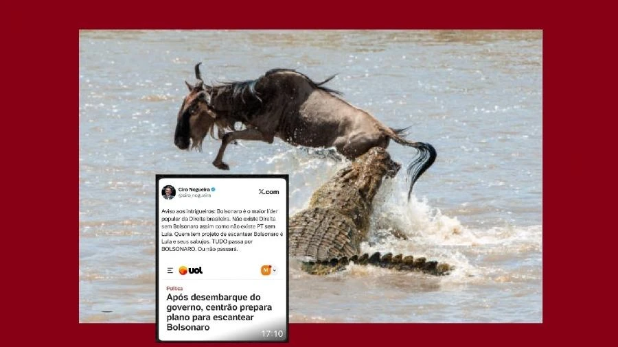 Tarcísio ataca STF para pegar Bolsonaro como crocodilo pega gnu no rio Mara Reinaldo Azevedo
