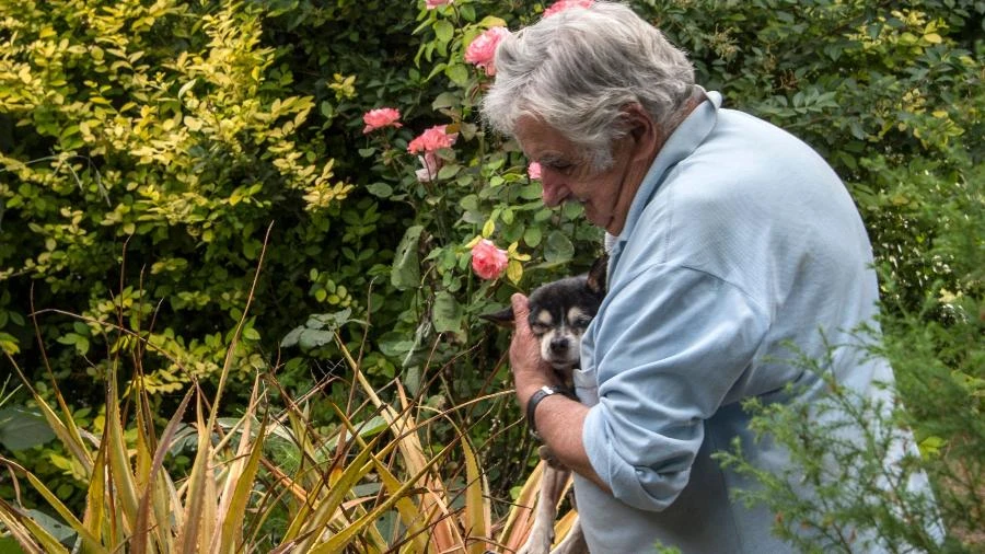 'Integrante mais fiel': a relação de Mujica e Manuela, cadela de três patas
