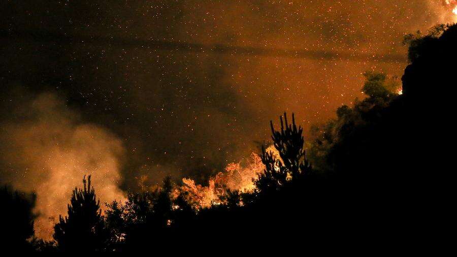 Incêndio destrói 2 mil hectares na Patagônia; governo decreta emergência