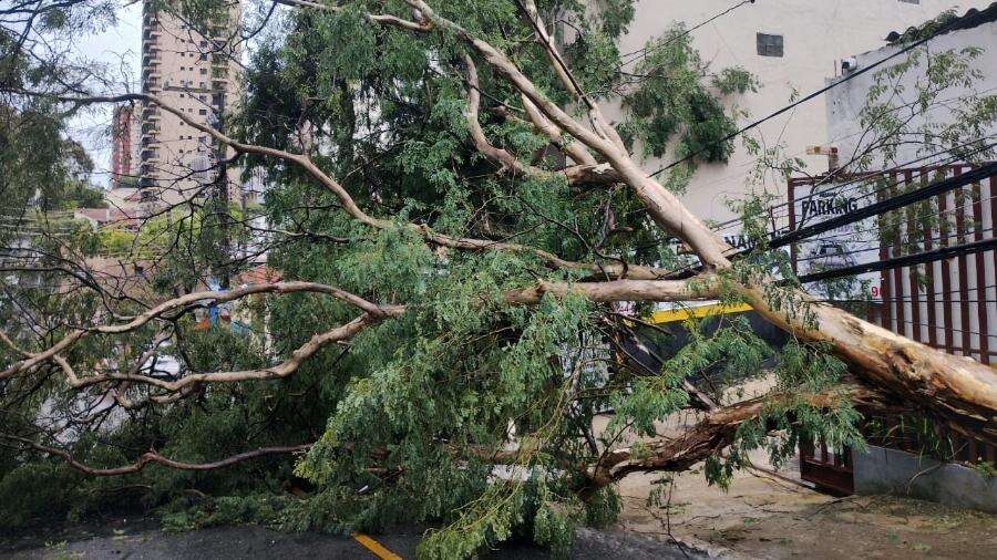 São Paulo contabiliza danos das chuvas e segue sob alerta para tempestades