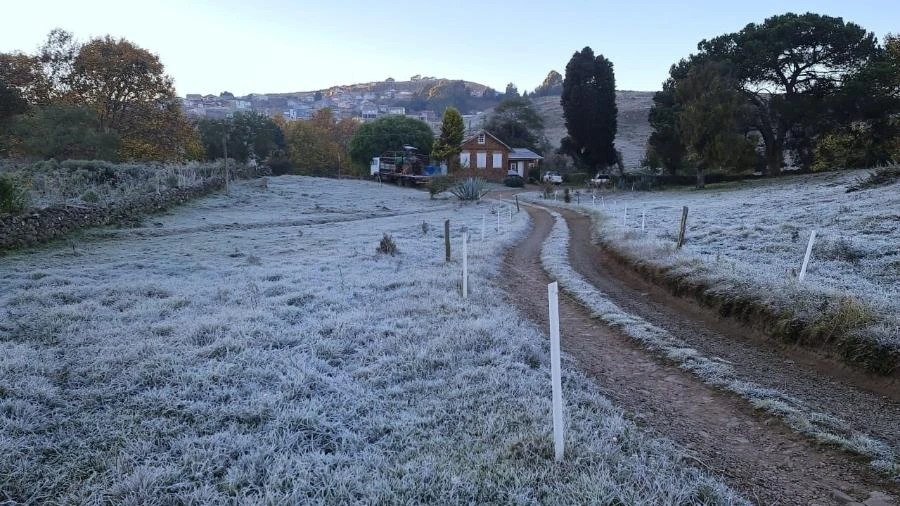 Massa de ar frio avança pela região Sul com chance de neve na segunda-feira