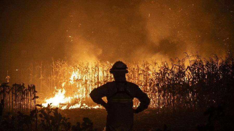 Incêndios florestais se alastram e deixam 7 mortos em Portugal