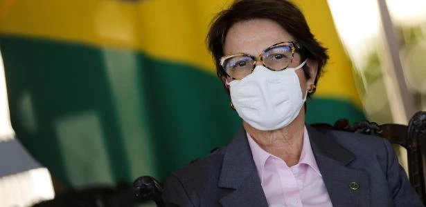 Comissão do Senado pede a ministra informações sobre rebanhos no Pantanal