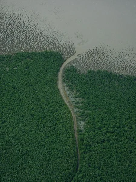 Expectativa por aval a estudo na Foz do Amazonas impediu derrubada de vetos Daniela Lima