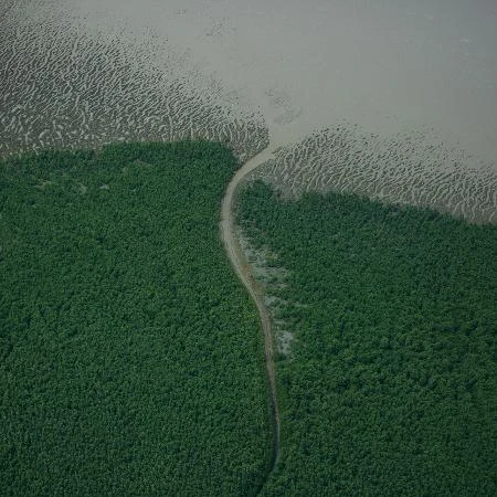 ANP leiloa 47 pontos na foz do Amazonas para exploração de petróleo