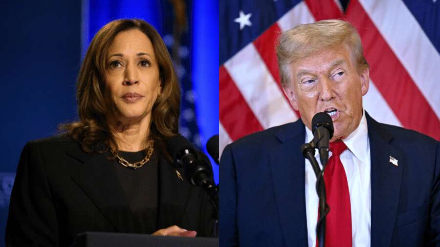 Kamala cresce, mas segue em empate técnico com Trump, diz pesquisa do NYT