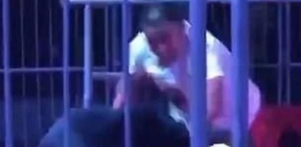 Urso de 200 quilos ataca treinador durante show em circo chinês; assista