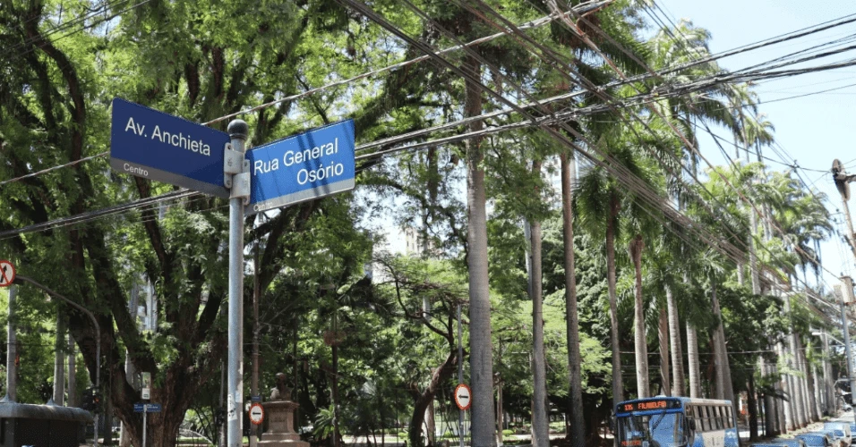 Campinas: poda de árvore interdita ruas no entorno da praça Carlos Gomes neste sábado (3)