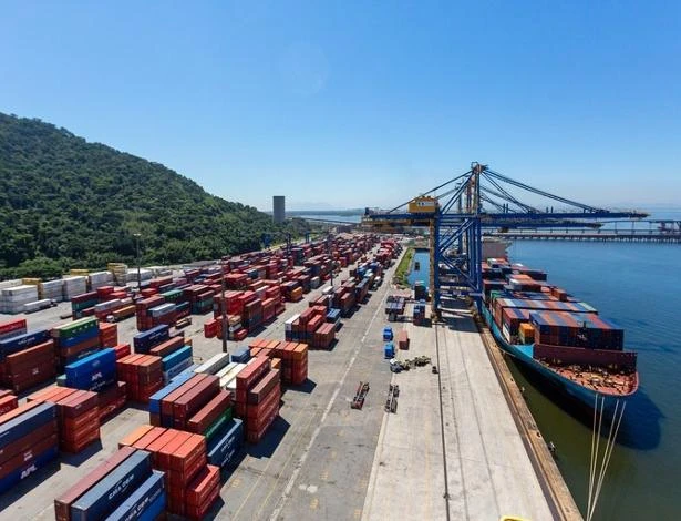 PIB do agronegócio brasileiro cresce 1,81% em 2024 com destaque para a pecuária