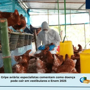Enem 2025: professores mostram o que estudar sobre gripe aviária