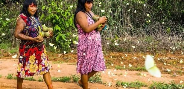 Contra covid, indígenas exigem quarentena de mesários e ameaçam vetar urnas