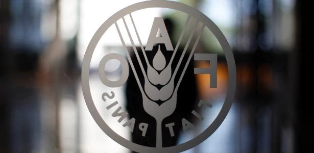 Programa Mundial de Alimentos da ONU diz precisar de US$6,8 bi em 6 meses para evitar fome