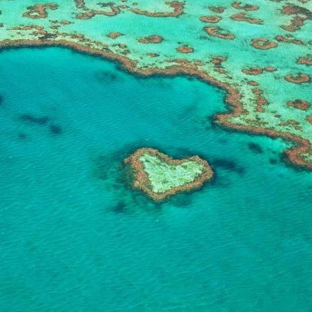 Homem de 39 anos morre em 2º ataque fatal de tubarão no mês na Austrália