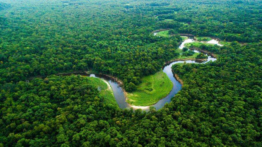 COP 30 em Belém: qual vai ser o papel do Brasil na Conferência do Clima?